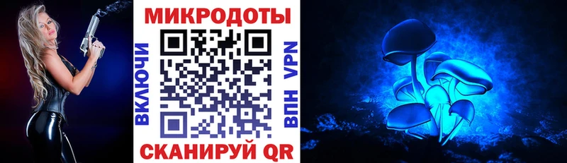 купить наркотик  mega онион  Галлюциногенные грибы мицелий  Крымск 